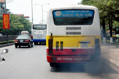 Đấu thầu sớm các tuyến buýt để nâng cao chất lượng dịch vụ